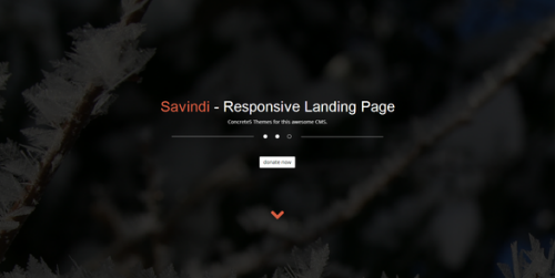ThemeForest - Savindi - Responsive Landing Page