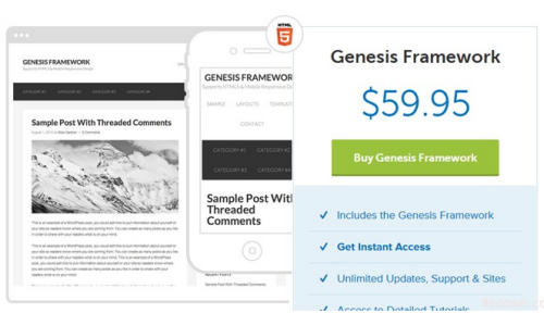 Genesis Framework 2.0.1