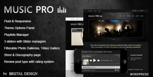 Music Pro 3.2.5 - Music Oriented Theme for WordPress v3.x (Latest and Retail)