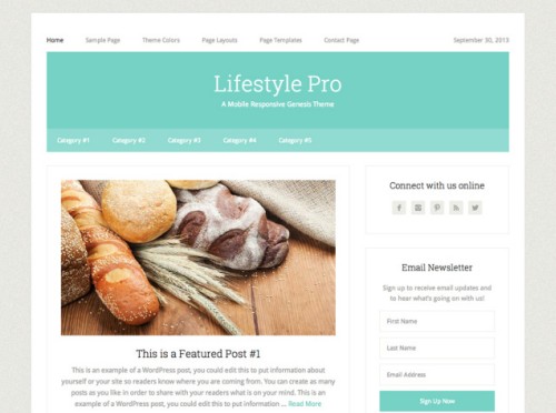 Lifestyle Pro v3 WordPress Theme