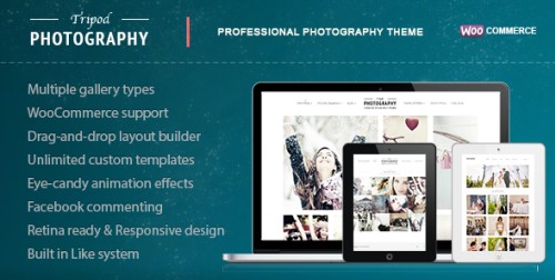 Tripod v1.2 - Professional WordPress Photography Theme