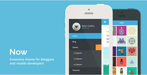 Now - Extensive Theme For Bloggers & Developers