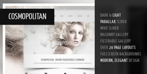 Cosmopolitan - Professional Business HTML Theme FULL