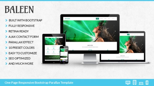 Baleen - Bootstrap One Page Parallax Template