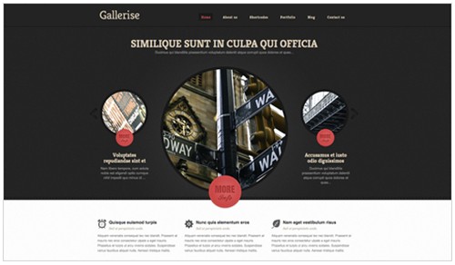 Gallerise v1.9.0 Portfolio Wordpress Theme