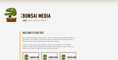 Bonsai Media