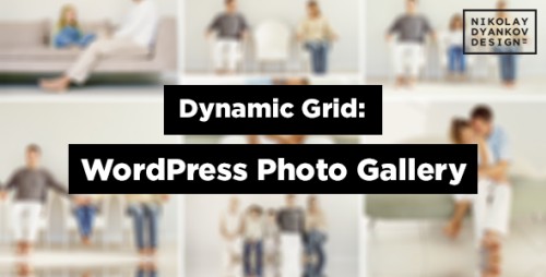 Dynamic Grid: Photo Gallery for WordPress v1.0.9