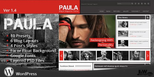 Paula v.1.4 - Blog & Magazine Wordpress Theme
