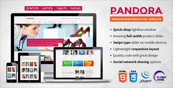 Pandora Premium Responsive HTML5 & CSS3 Template