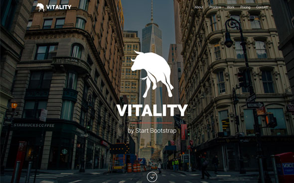Vitality Multipurpose Portfolio HTML