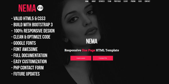 Nema - One Page Multipurpose HTML Template
