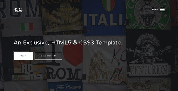 Bibi - HTML5 & CSS3 Template