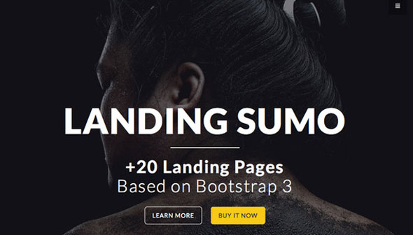 LandingSumo +20 Landing Pages