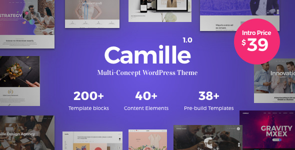 Camille v1.0.2 - Multi-Concept WordPress Theme