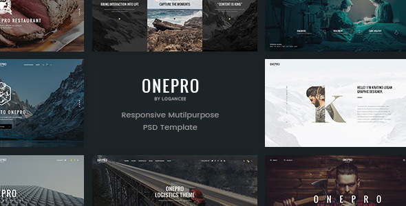OnePro v1.0 - Creative Multipurpose PSD Template