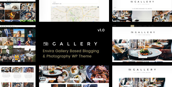 Gallery v1.0.3 - Blogging & Envira Gallery WordPress Theme