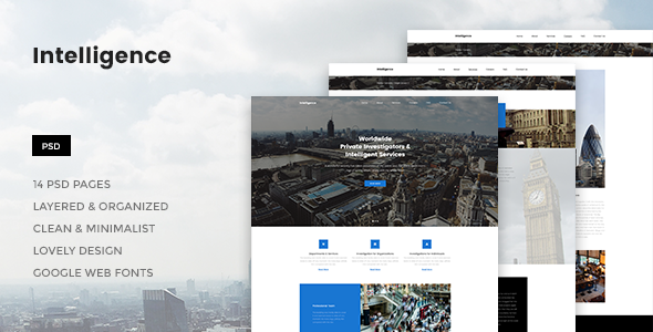 Intelligence - Individual & Corporate Investigations PSD Template