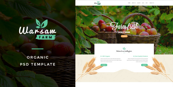 Warsaw - Organic Fruits & Vegetables PSD Template