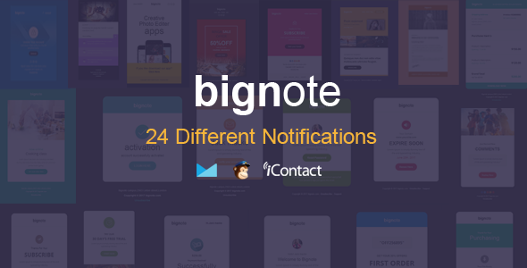 Bignote - 24 Unique Responsive Email Notification set + Online Access
