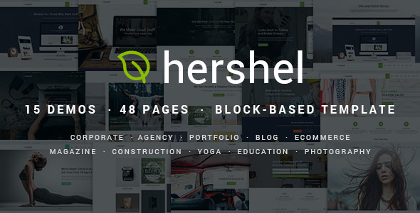 Hershel - Flexible Multipurpose HTML Template