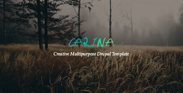 Carina v1.0 - Creative Multipurpose Drupal 8 Template
