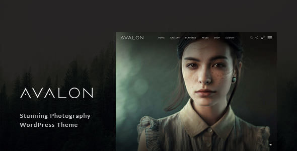 Avalon v1.0.9.9 - Photography and Portfolio WordPress Theme for Photographers