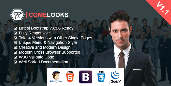 ComeLooks v1.1 - Multipurpose Business HTML Template