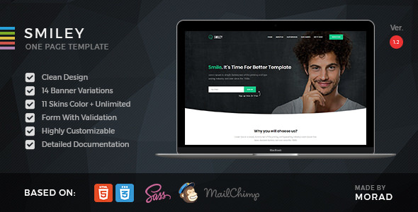 Smiley v1.2 - HTML Business & Startup One Page Template