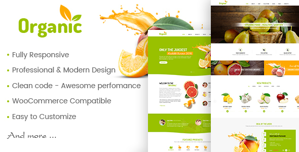 AmyOrganic v1.0.2 - Organic and Healthy Theme