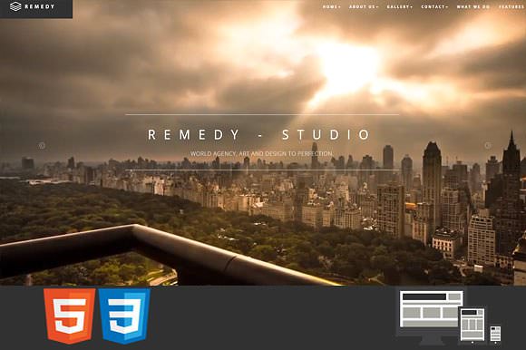 Remedy One/Multi Page HTML Template