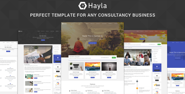 Hayla v1.1 - Consultancy Business Website Template