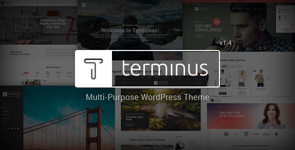 Terminus v1.4.2 - Responsive Multi-Purpose WordPress Theme