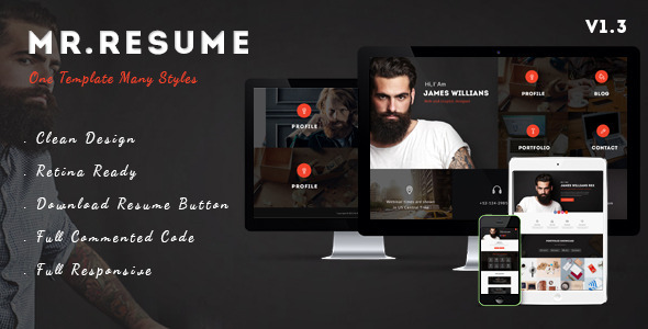 Mr.Resume v1.3 - One Page Resume/Personal HTML Template