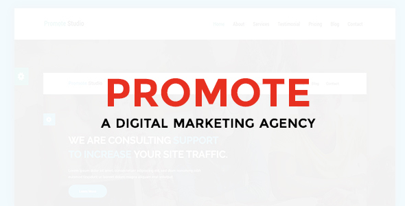 Promote - Digital Marketing Agency